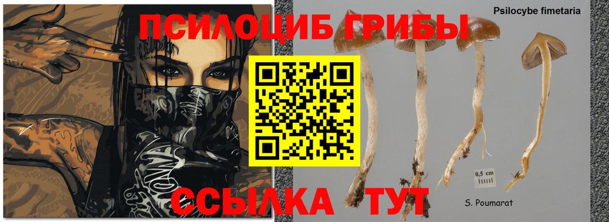 Псилоцибиновые грибы прущие грибы  Вход с VPN  Сердобск  Галлюциногенные грибы Magic Shrooms 